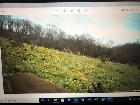 Soil Health Friday -Integrating livestock – we just have deer!!