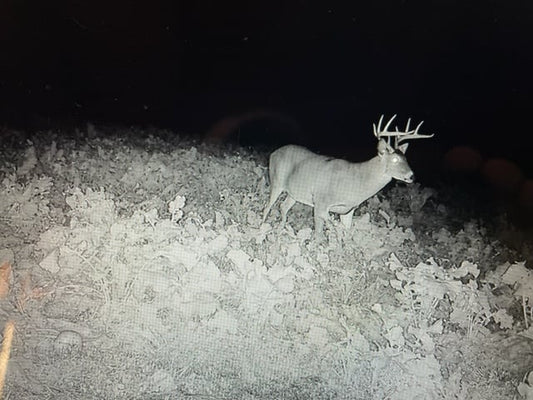 Is nutrient density impacting the whitetail’s plant selection?