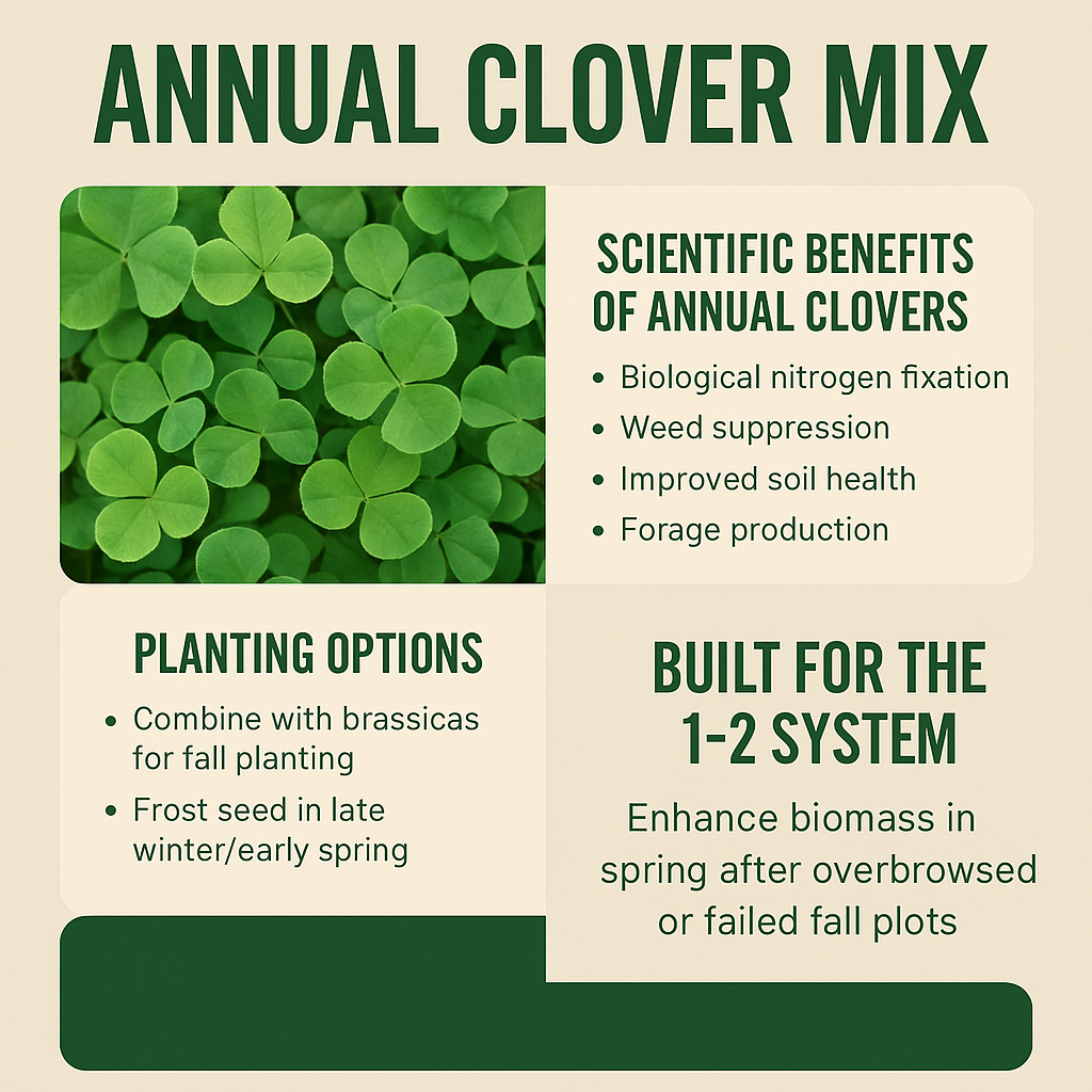 The Science and Strategy Behind Vitalize Seed's Annual Clover Mix