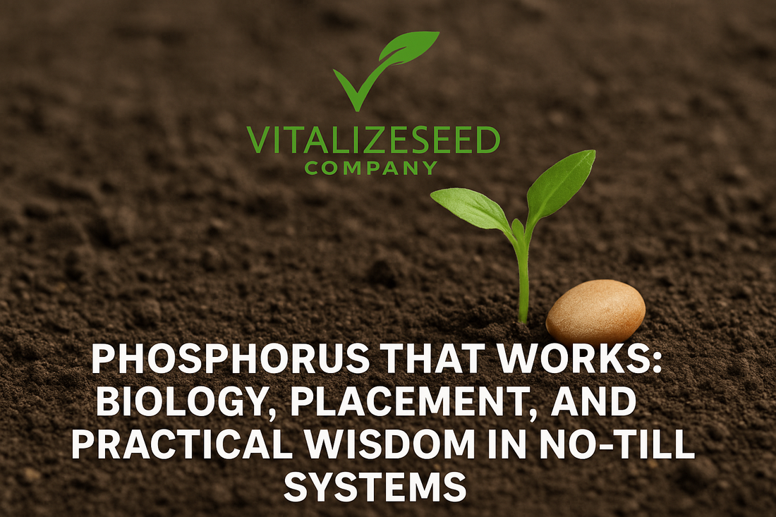 How to Improve Phosphorus Efficiency in No-Till Farming: Placement, Biology, and Seed-Applied Solutions
