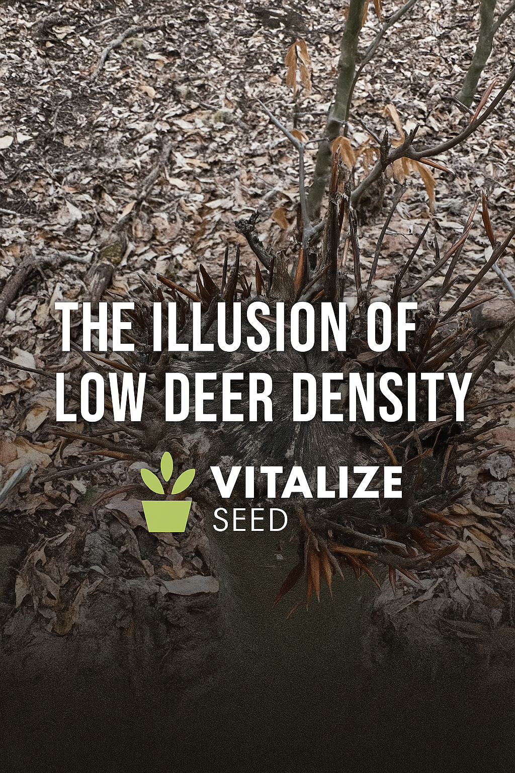 The Illusion of Low Deer Density - Why “Not Seeing Deer” Doesn’t Mean You Have Too Few