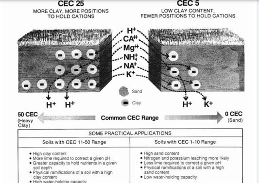 Soil Health Friday – Soil Structure?