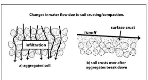 Soil Health Friday – Keeping Soil Covered