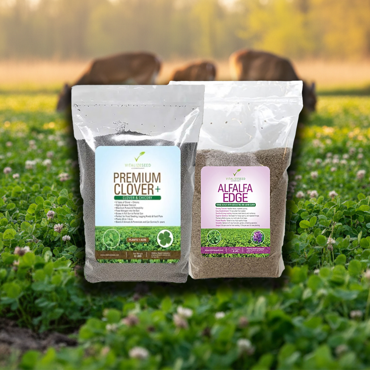 plant seed companies FROST SEED BUNDLE