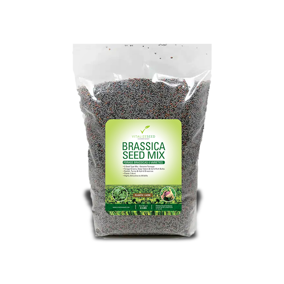 brassica plant seeds Brassica Seed Mix