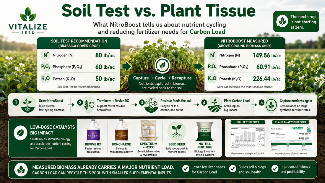 Soil Test vs. Plant Tissue: What NitroBoost Tells Us About Nutrient Cycling