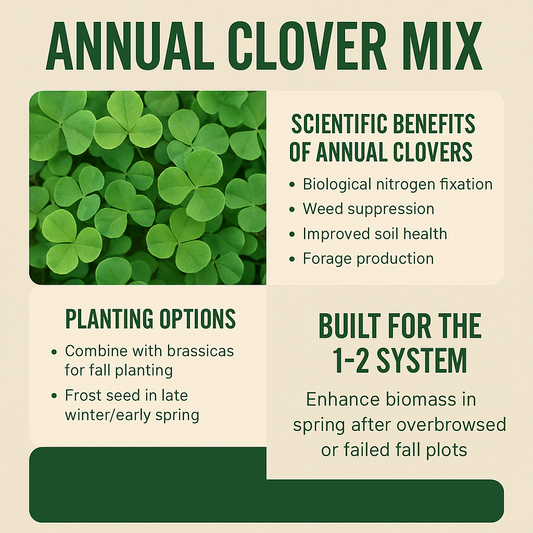 The Science and Strategy Behind Vitalize Seed's Annual Clover Mix