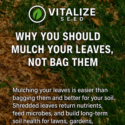 Why You Should Mulch Your Leaves, Not Bag Them
