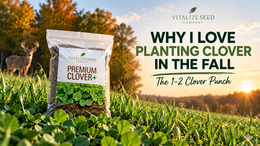 Why I Love Planting Clover in the Fall: The 1-2 Clover Punch