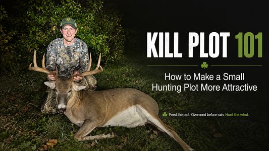 Kill Plot 101: How to Make a Small Hunting Plot More Attractive