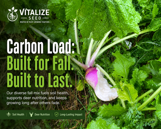 The Best Time to Plant Is Closer Than You Think