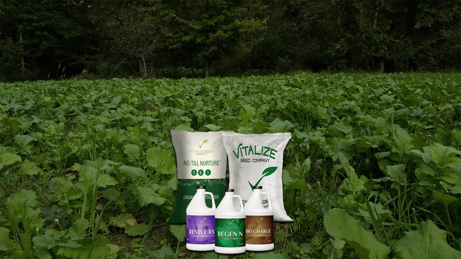 Biological & Natural Soil Amendments for Improved Soil Health