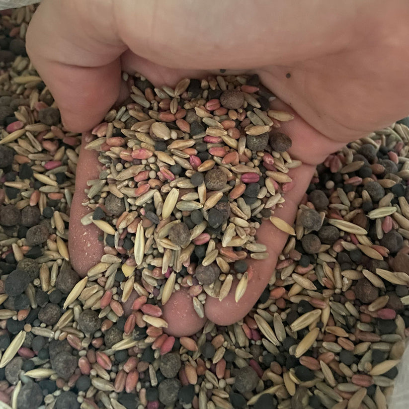 Carbon Load - Fall Blend – Vitalize Seed Company