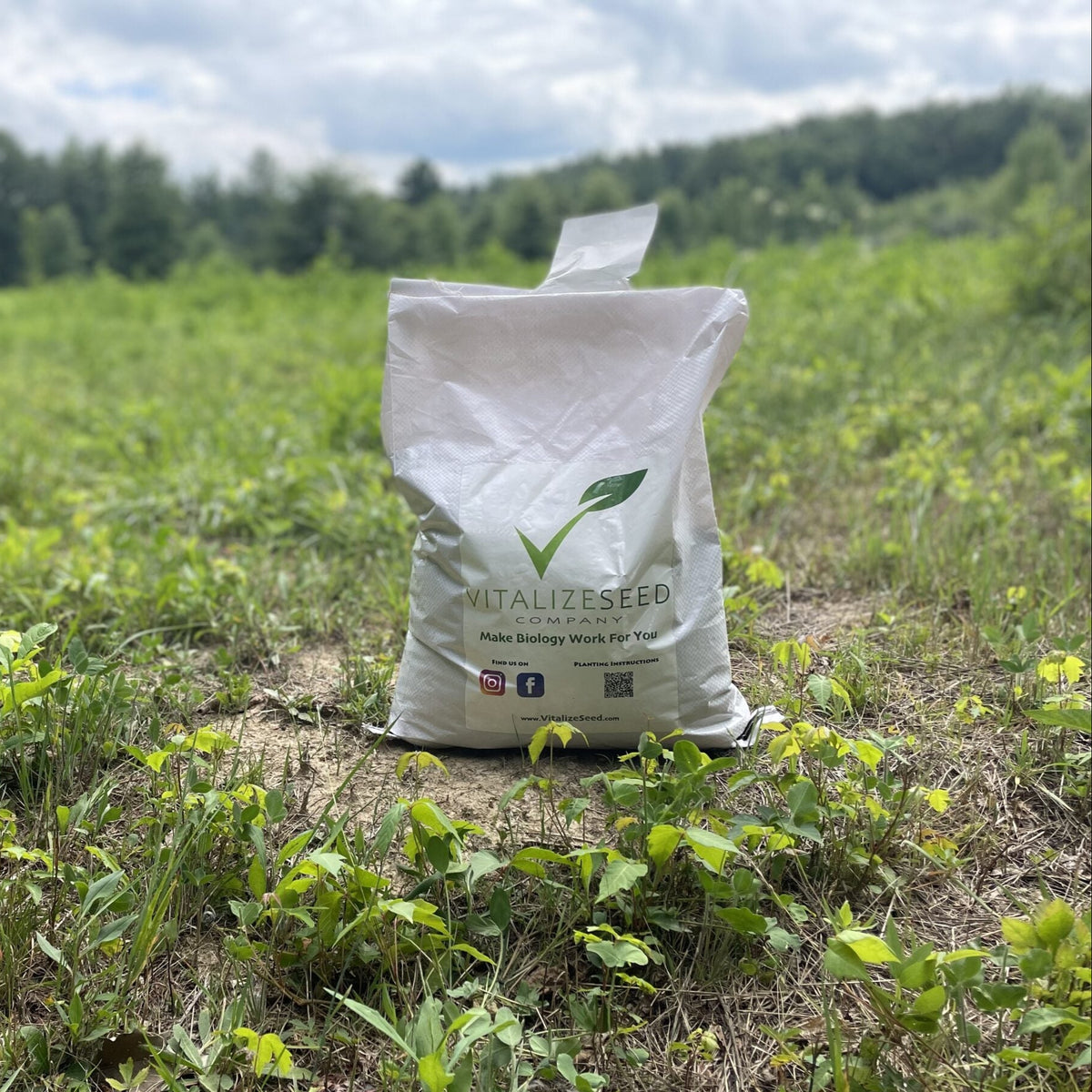 Carbon Load - Fall Blend – Vitalize Seed Company