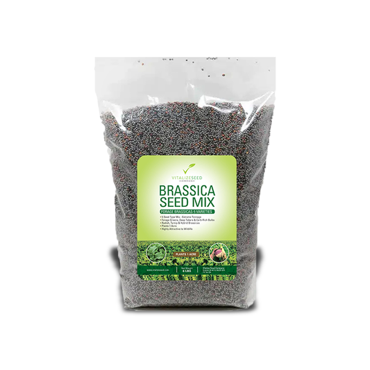 Brassica Seed Mix