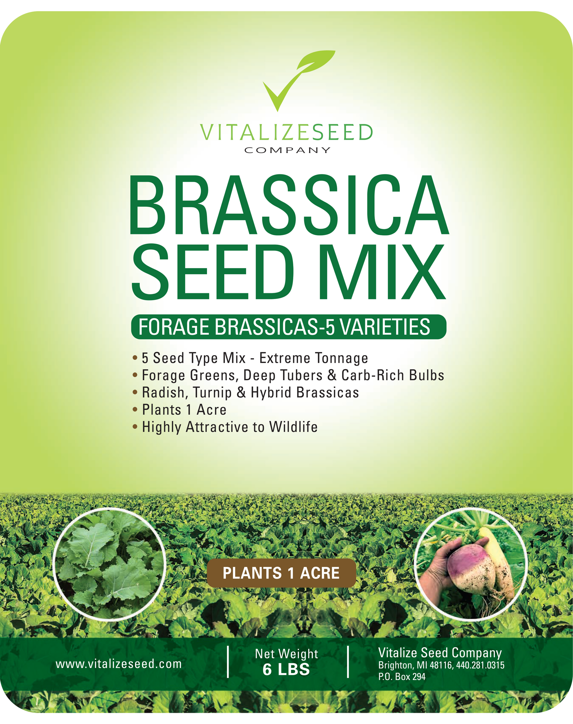 plant seed mix Brassica Seed Mix