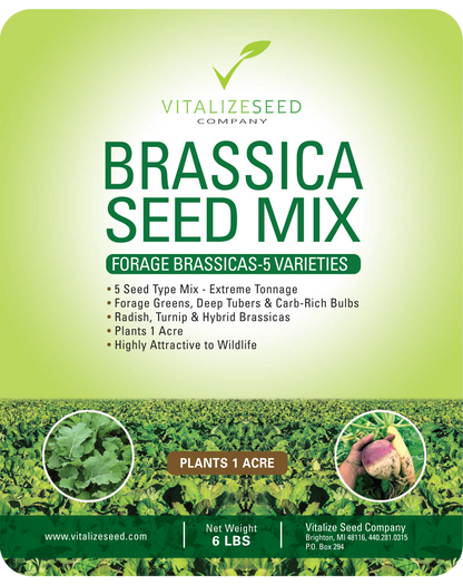 Brassica Seed Mix