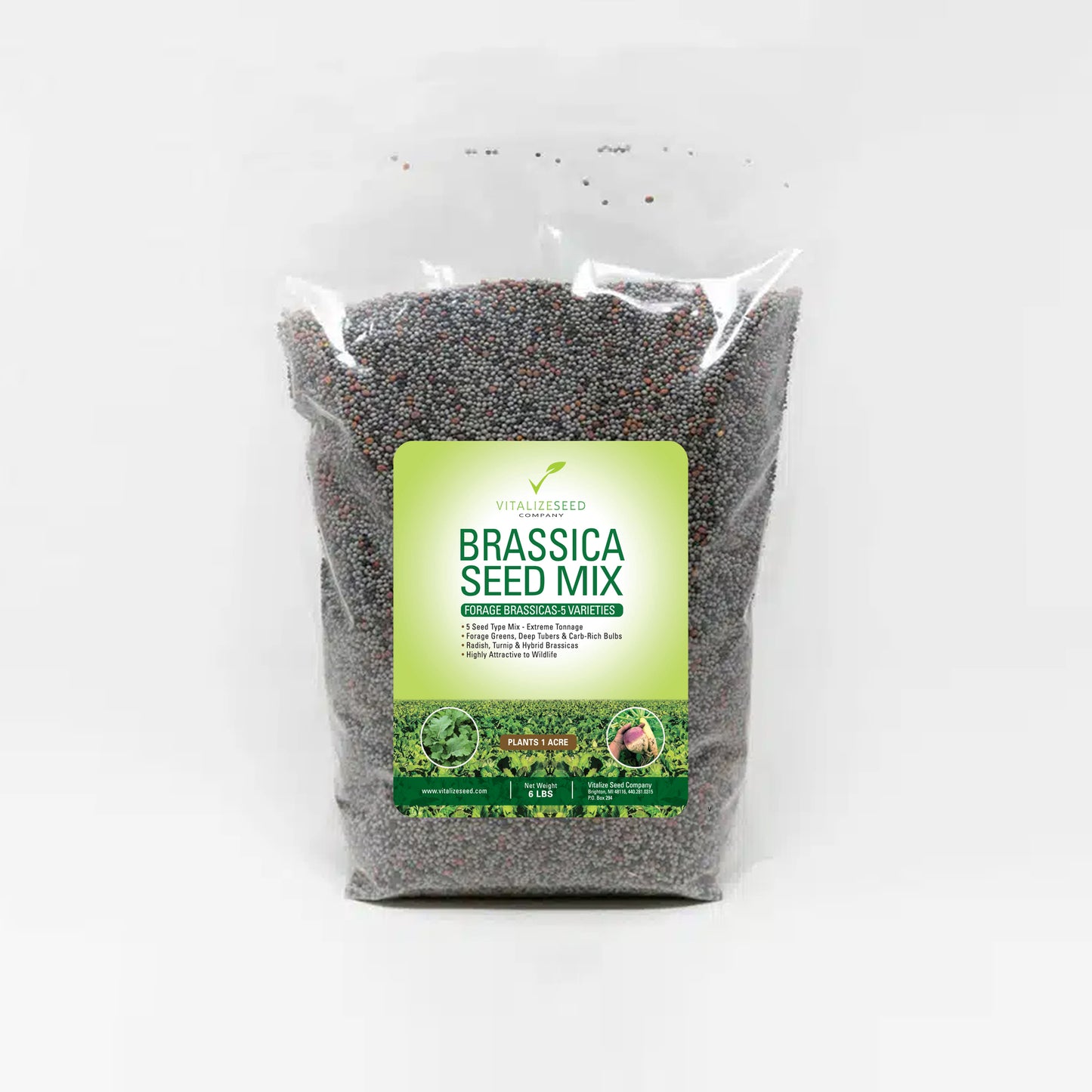 Brassica Seed Mix