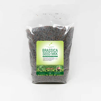 Brassica Seed Mix