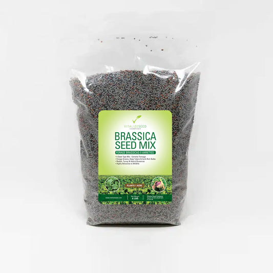 Brassica Seed Mix