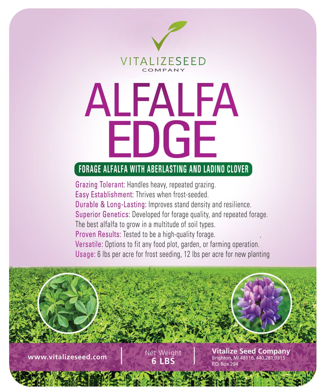 alfalfa Vitalize Alfalfa Edge™ | Vitalize Seed Company
